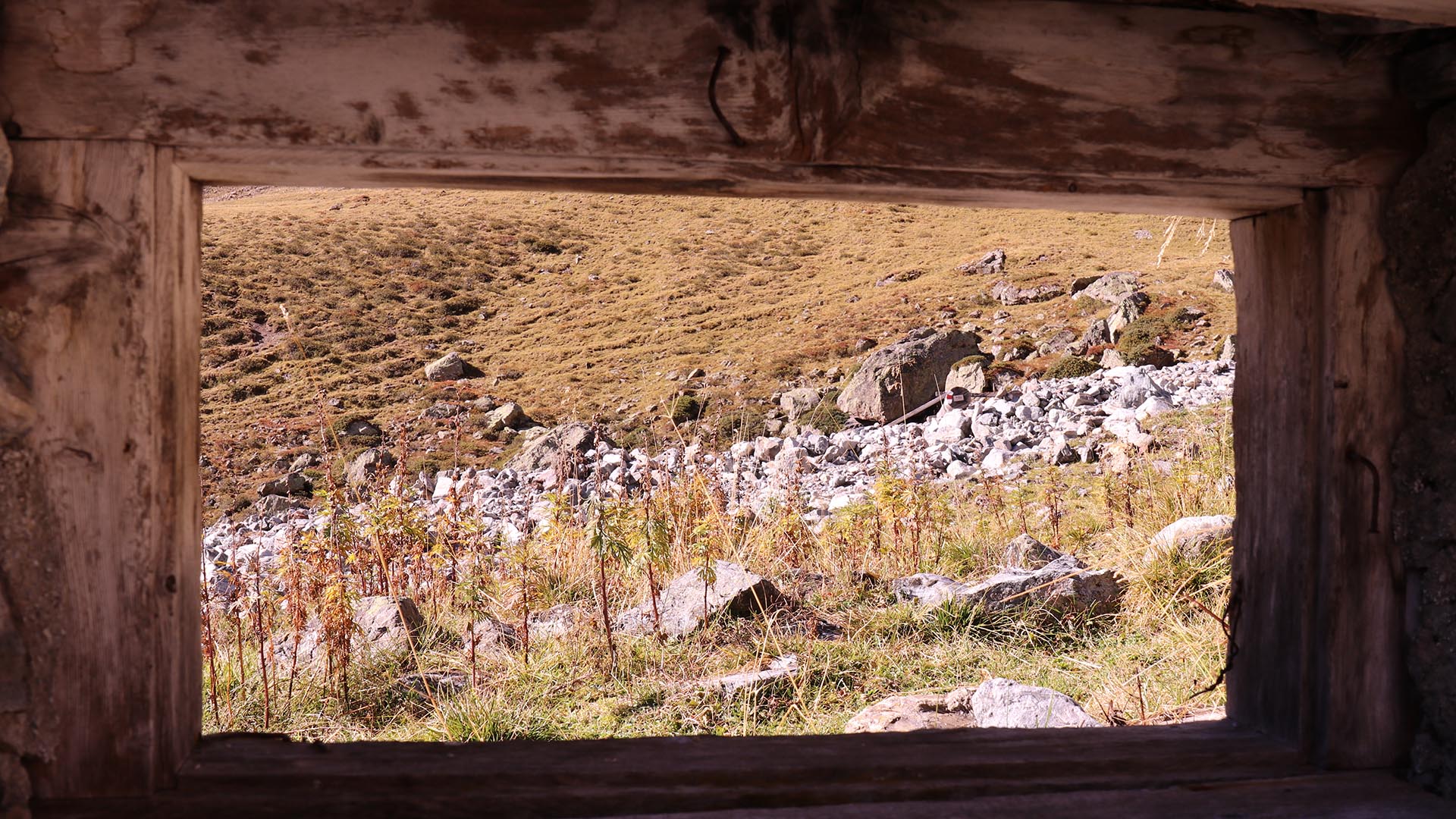 Dried stream bed